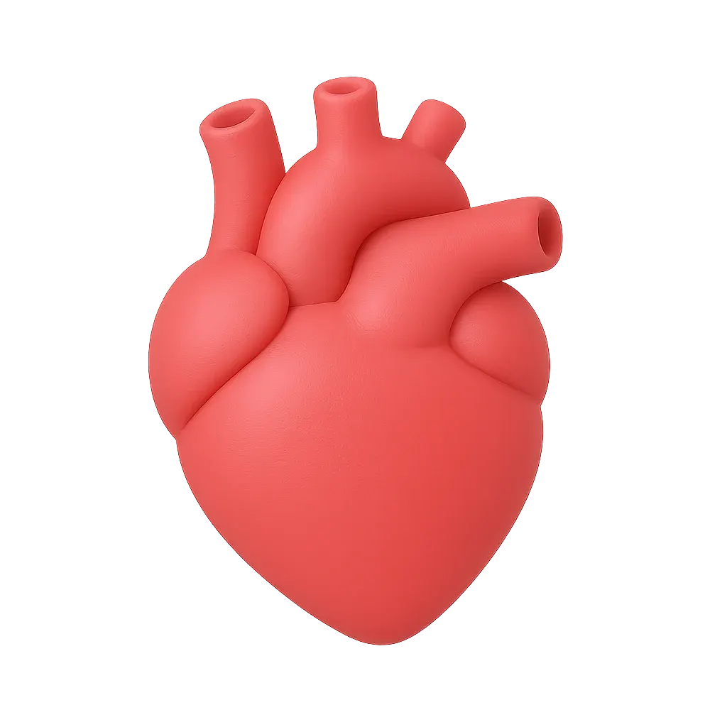 Кардиология