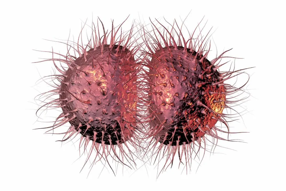 Гонорея: симптомы и лечение