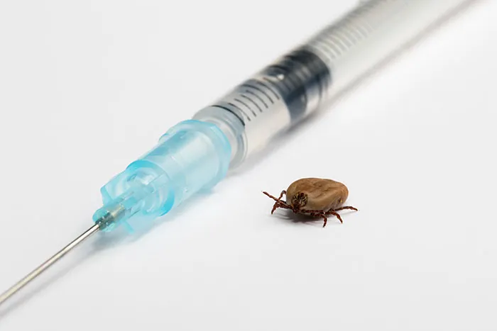 прививка от энцефалита взрослым