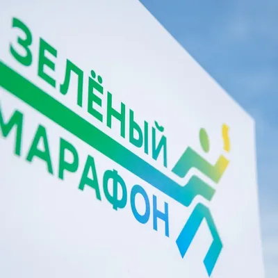 Восстановление после финиша: как мы поддержали участников «Зеленого марафона»