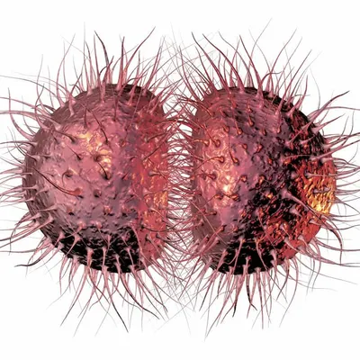 Гонорея: симптомы и лечение