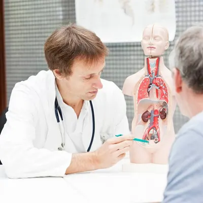 Распространенные урологические заболевания